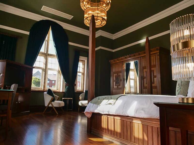 Luxurious Suite in Swansea